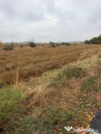 Teren intravilan, 3000 mp, zona Coțofeni din Față/Beharca 