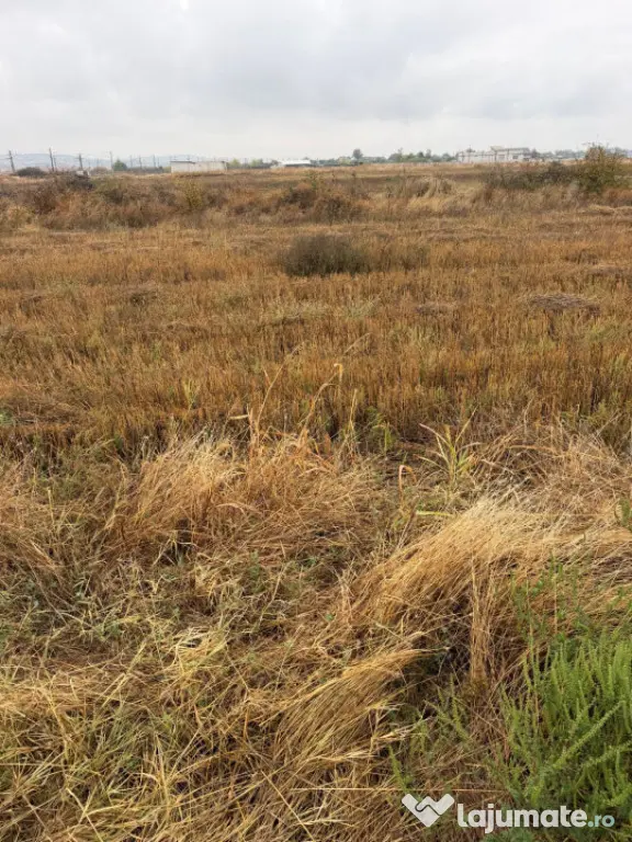 Teren intravilan, 3000 mp, zona Coțofeni din Față/Beharca - Cotofenii Din Fata (Dolj)