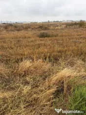 Teren intravilan, 3000 mp, zona Coțofeni din Față/Beharca 