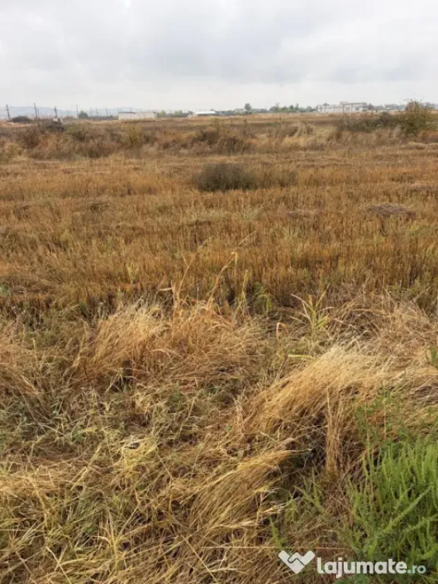 Teren intravilan, 3000 mp, zona Coțofeni din Față/Beharca - Cotofenii Din Fata (Dolj)