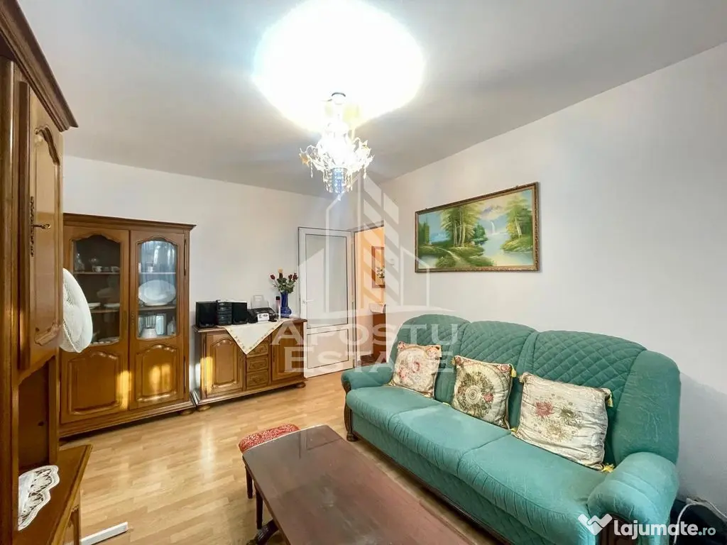 Apartament 2 camere - zona Vlaicu - Arad (Arad)