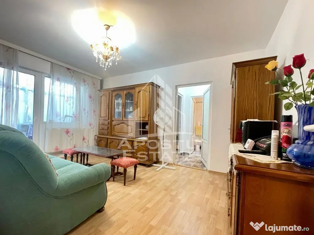 Apartament 2 camere - zona Vlaicu - Arad (Arad)