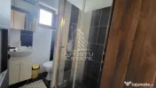 Duplex 5 camere, 3 bai, mobilat si utilat,Dumbravita 
