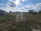 Casa de vanzare, Localitatea Ciacova, Judet Timis 