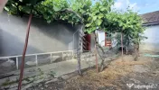 Casa Micalaca, renovare sau demolare teren 360 mp