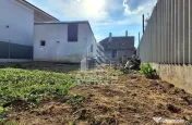 Casa Micalaca, renovare sau demolare teren 360 mp