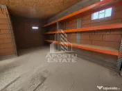Casa individuala de vanzare, Iecea Mica, Judet Timis 
