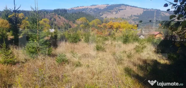 Teren intravilan, 1477 mp, zona Exterior Est - Vatra Dornei (Suceava)