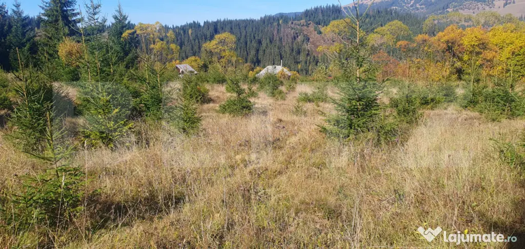 Teren intravilan, 1477 mp, zona Exterior Est - Vatra Dornei (Suceava)