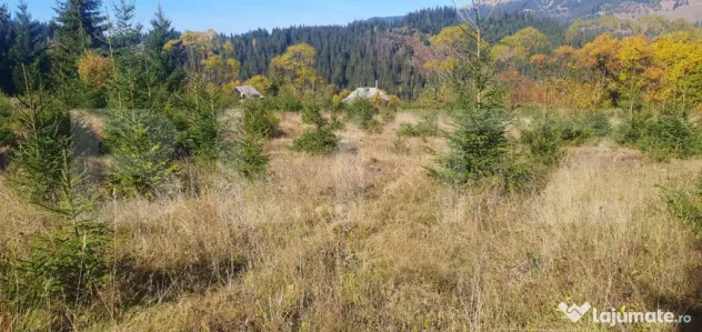 Teren intravilan, 1477 mp, zona Exterior Est - Vatra Dornei (Suceava)