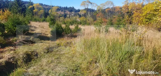 Teren intravilan, 1477 mp, zona Exterior Est - Vatra Dornei (Suceava)
