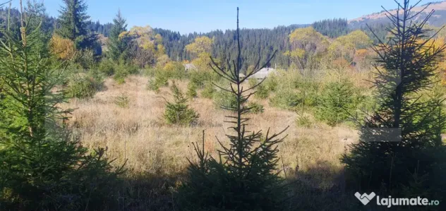Teren intravilan, 1477 mp, zona Exterior Est - Vatra Dornei (Suceava)