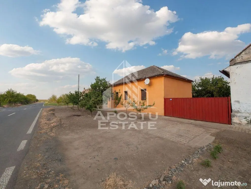 PROPRIETATE PREMIUM TEREMIA MARE - APOSTU ESTATE - Teremia Mare (Timis)