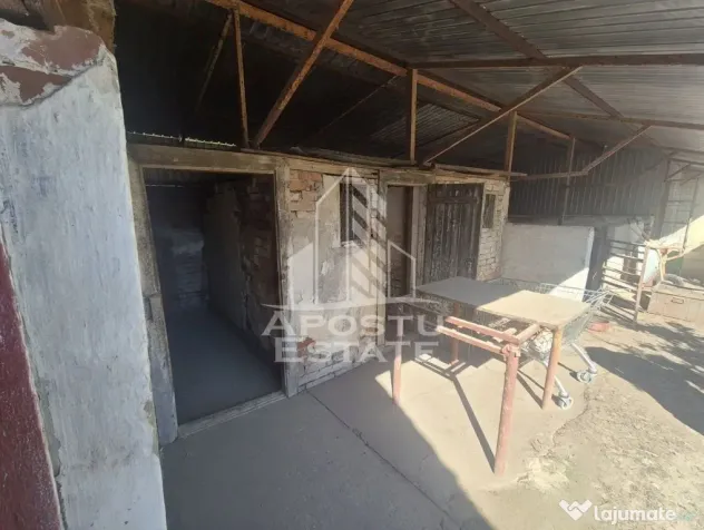 PROPRIETATE PREMIUM TEREMIA MARE - APOSTU ESTATE - Teremia Mare (Timis)