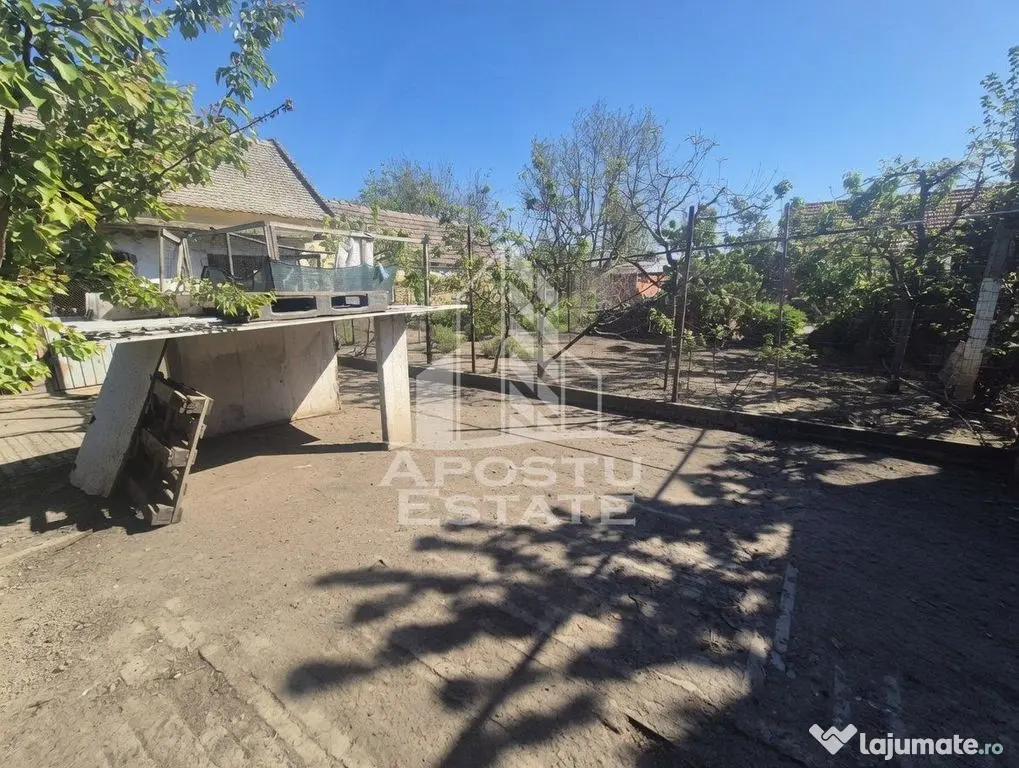 PROPRIETATE PREMIUM TEREMIA MARE - APOSTU ESTATE - Teremia Mare (Timis)