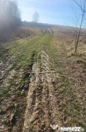 Teren agricol, Barsa, Eligibil pentru fonduri Europene 
