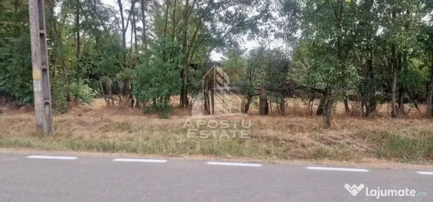 Teren intravilan - Pecica - Pecica (Arad)