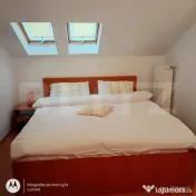 Apartament de vacanță în Pârâul Rece, Predeal | Natură 