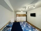 Apartament 2 camere zona Teatru