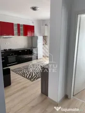 Apartament 2 camere de inchiriat, Remetea Mare 