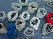 discuri compresopr ,șuruburi roți ,antifurturi ,cric 