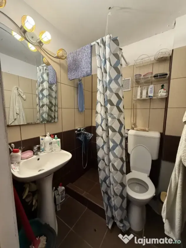 Apartament cu o camera, 15 mp utili, etaj 2 - Complexul Stud - Timisoara (Timis)