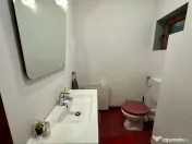 Casa individuala lux, 251 mp utili, 600 mp teren - Dumbrăvi 