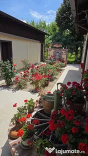 Casa din povesti, 5 camere, pe parter- zona Lipovei Timișoa 