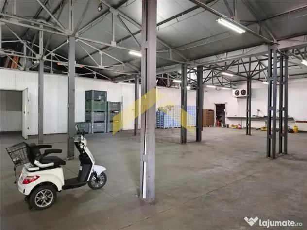 Doua hale plus teren 5,124 mp de strada Poetului zona Gai - Arad (Arad)