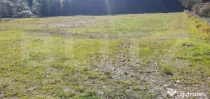 Teren intravilan, 5855 mp, zona Vatra Dornei