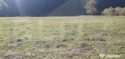 Teren intravilan, 5855 mp, zona Vatra Dornei 
