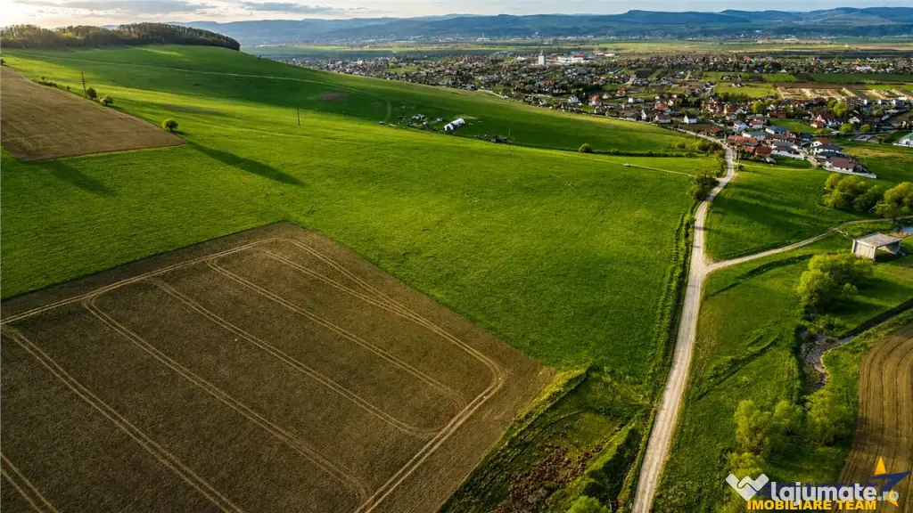 FILM! Portofoliu funciar de exceptie: 23.669 mp teren extrav - Sangeorgiu De Mures (Mures)