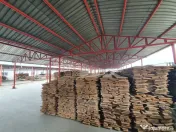 închiriez spațiu industrial 13917 m² cu 3 hale + depozite acoperite și birouri