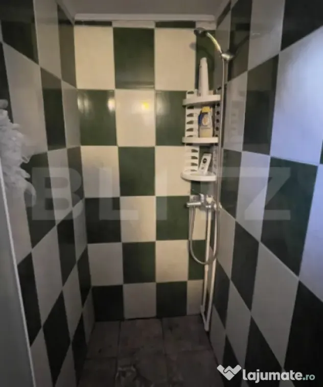 Vilă P+M cu 3 dormitoare, curte amenajată și utilități - Maracineni (Arges)
