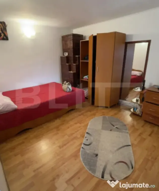 Vilă P+M cu 3 dormitoare, curte amenajată și utilități - Maracineni (Arges)