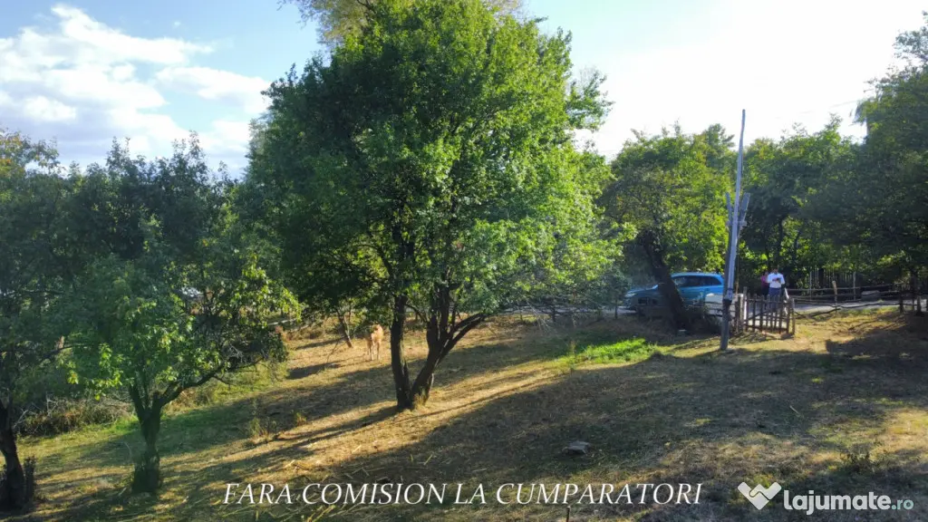 TEREN 5274 MP, CADRU NATURAL MINUNAT - Vladesti (Valcea)