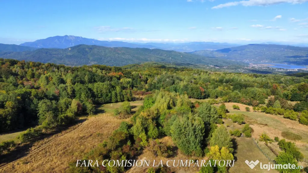 TEREN 5274 MP, CADRU NATURAL MINUNAT - Vladesti (Valcea)