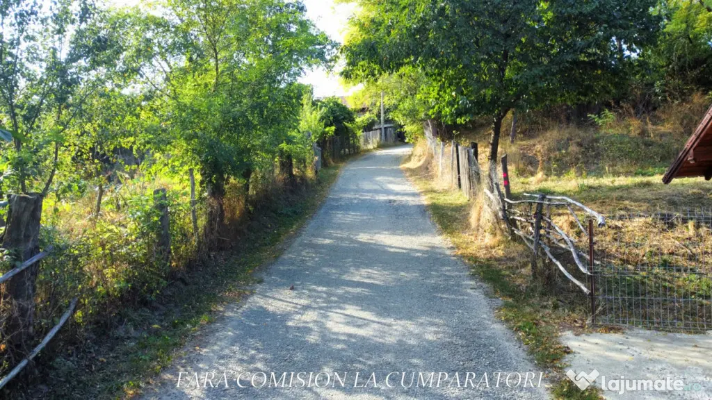 TEREN 5274 MP, CADRU NATURAL MINUNAT - Vladesti (Valcea)