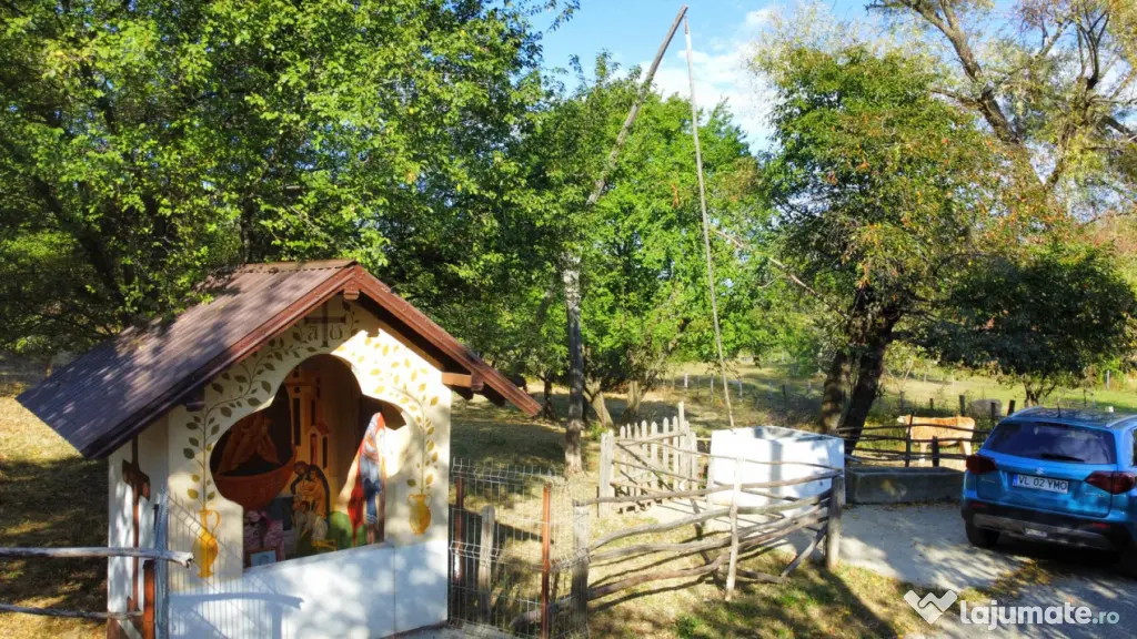 TEREN 5274 MP, CADRU NATURAL MINUNAT - Vladesti (Valcea)