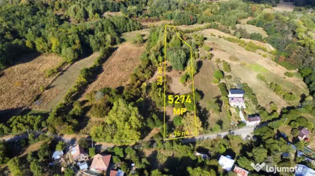 TEREN 5274 MP, CADRU NATURAL MINUNAT - Vladesti (Valcea)