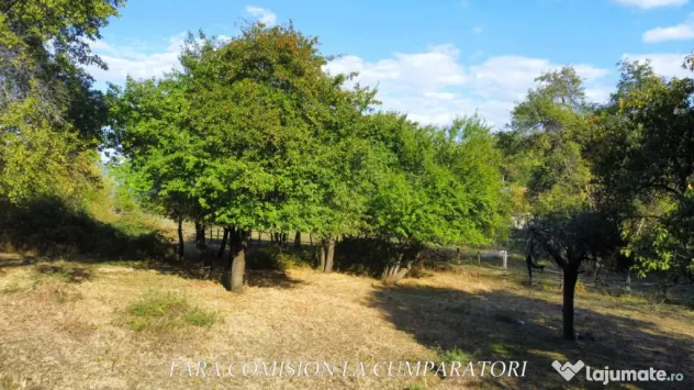 TEREN 5274 MP, CADRU NATURAL MINUNAT - Vladesti (Valcea)