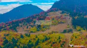 COMISION 0% | SACELE-BACIU| TEREN INTRAVILAN| 16 000 MP | NATURA 