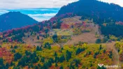 COMISION 0% | SACELE-BACIU| TEREN INTRAVILAN| 16 000 MP | NATURA 