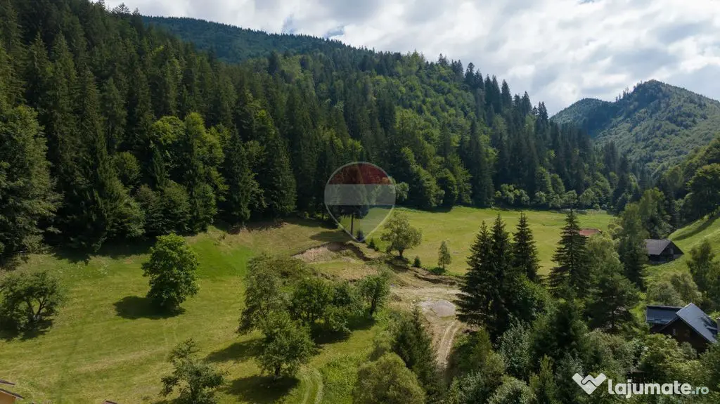 Teren 2.891 mp Șimon – Bran | Poziție rară, potențial turistic - Bran (Brasov)