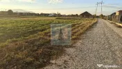 Teren intravilan de vânzare/ Stupini 