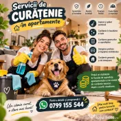 Curățenie la domiciliu – un apartament curat, o stare de bine! 