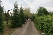 Casa de vanzare 6 camere in Valea Calugareasca, Judetul PRAH 