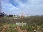 Teren de vanzare Girov- Doina 7200MP 139.999