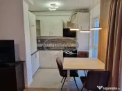 Apartament cu o camera si terasa, Iris
