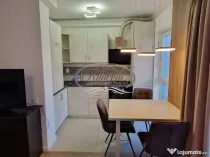 Apartament cu o camera si terasa, Iris